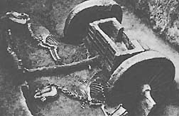 Jou Dynasty Chariot Burial